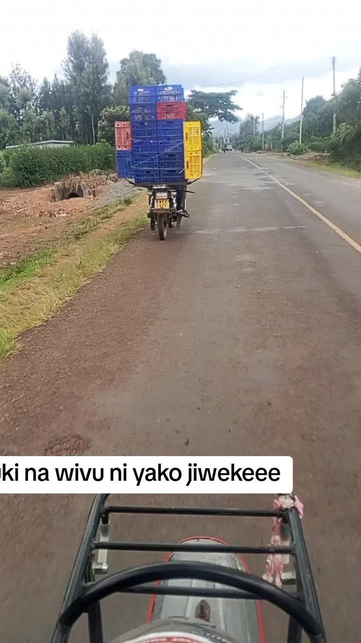 @NI STEVO     (THIGO)