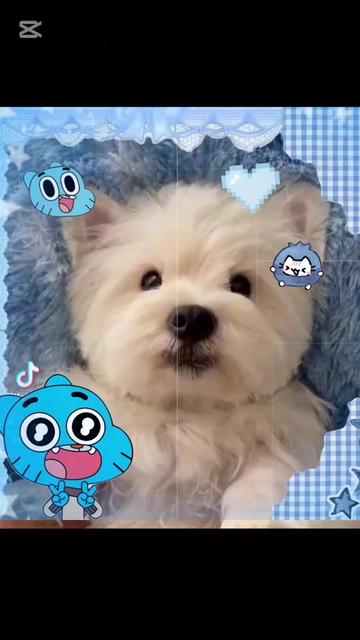 @arscx_edit