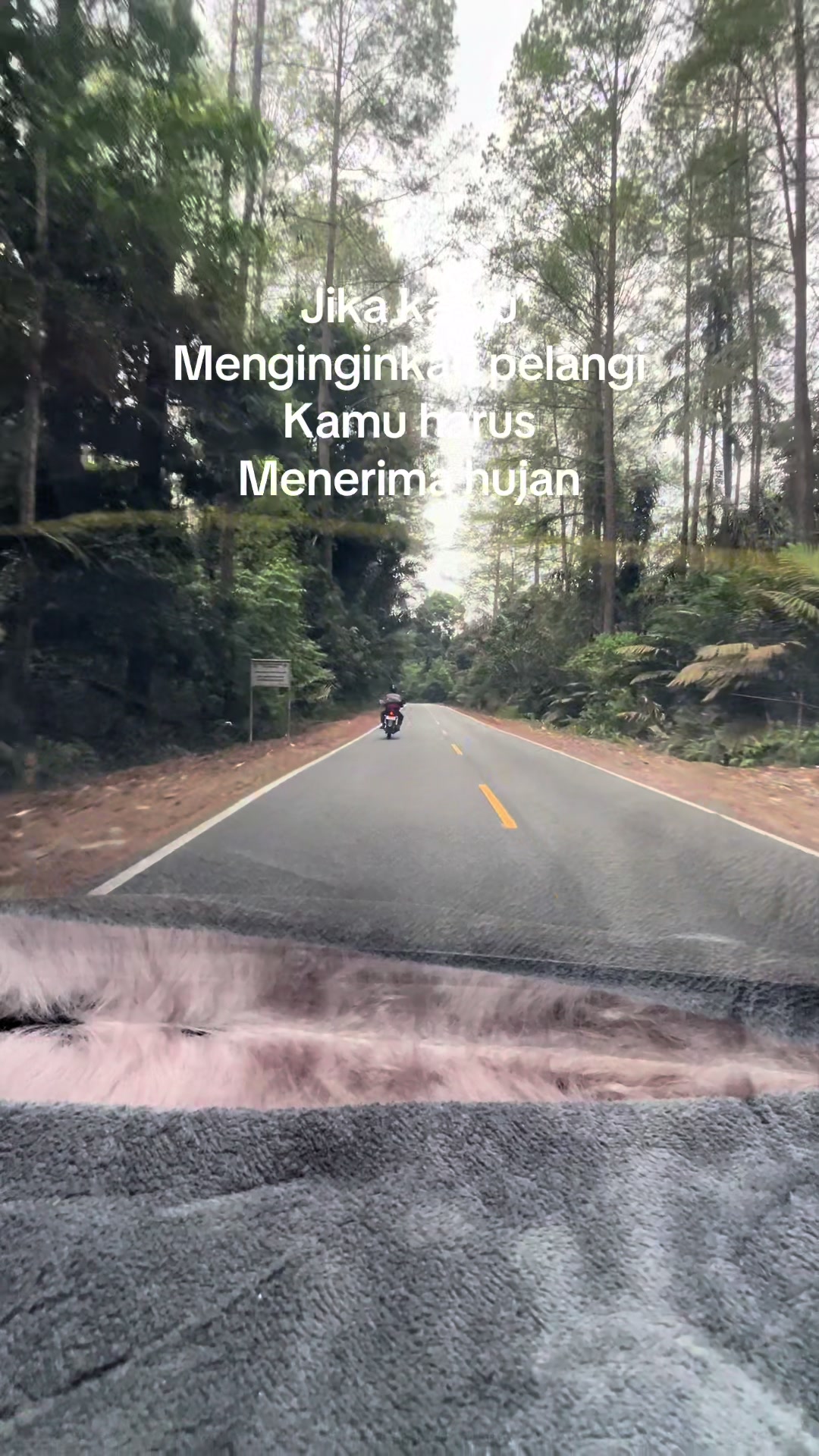 @Burungpuyuh🐦