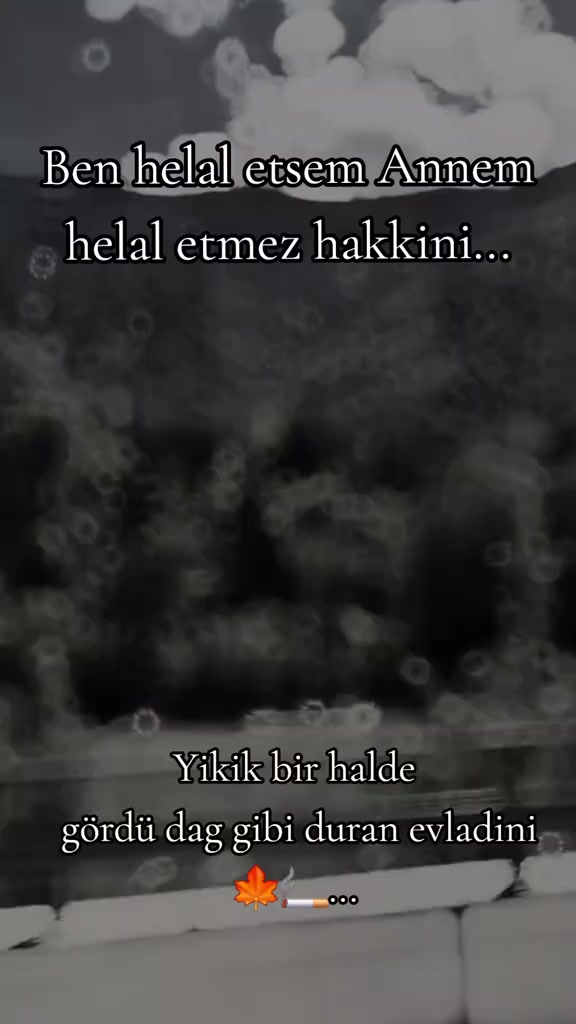 @【╰✦✦𝑭𝒛𝒍𝒕_𝑨𝒕𝒍𝒂𝒔✦✦╮】