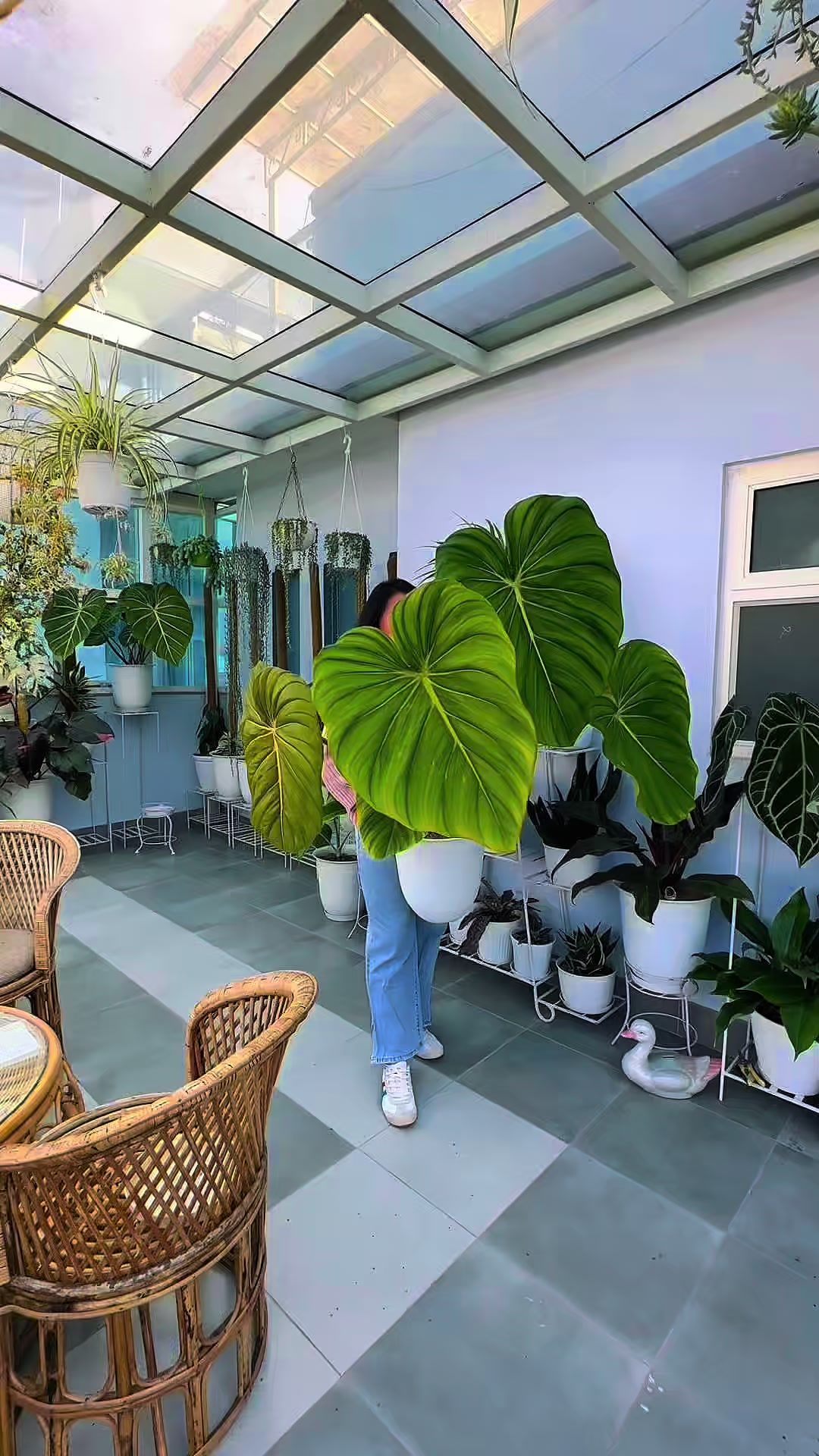 @Plantlife50