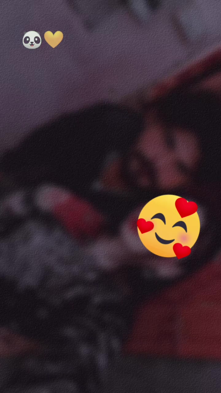 @๐จ๐๐๐๐๐๐๐๐๐ฉ๐๐๐๐