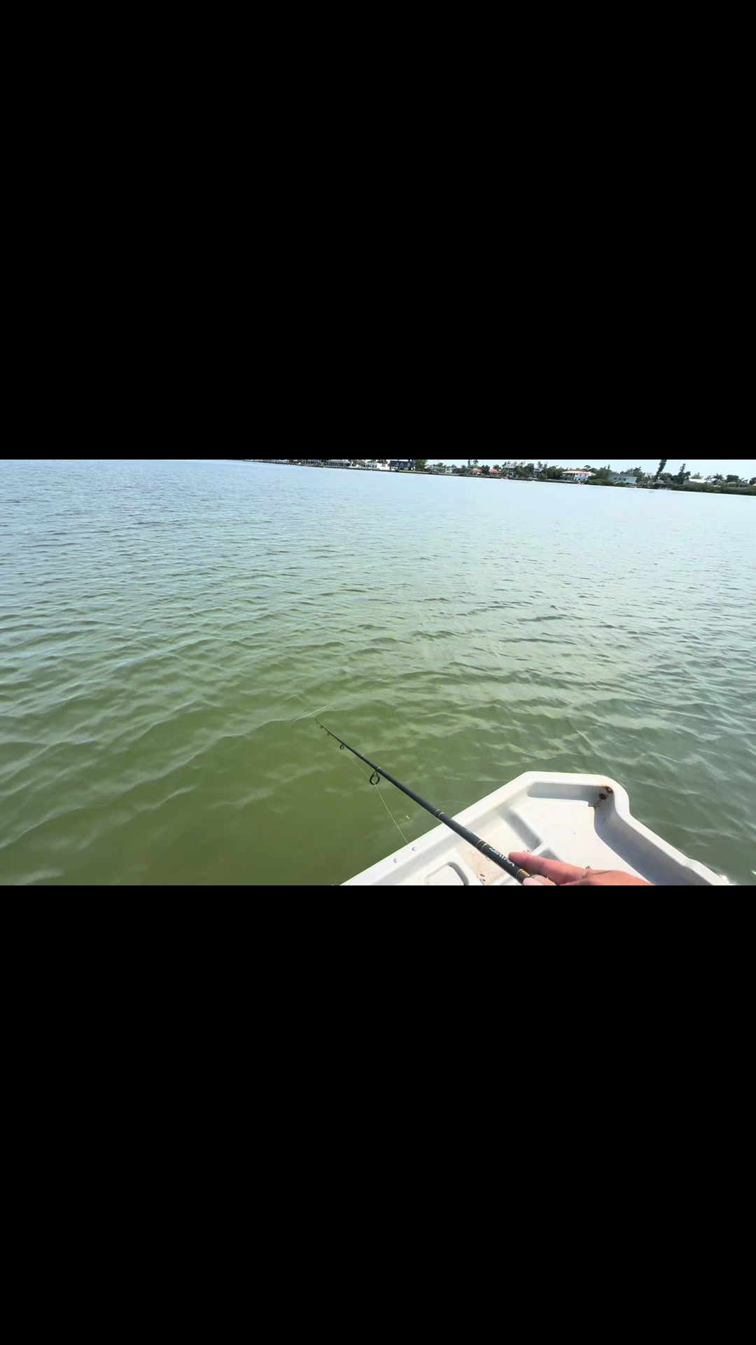 @Gotitfishing