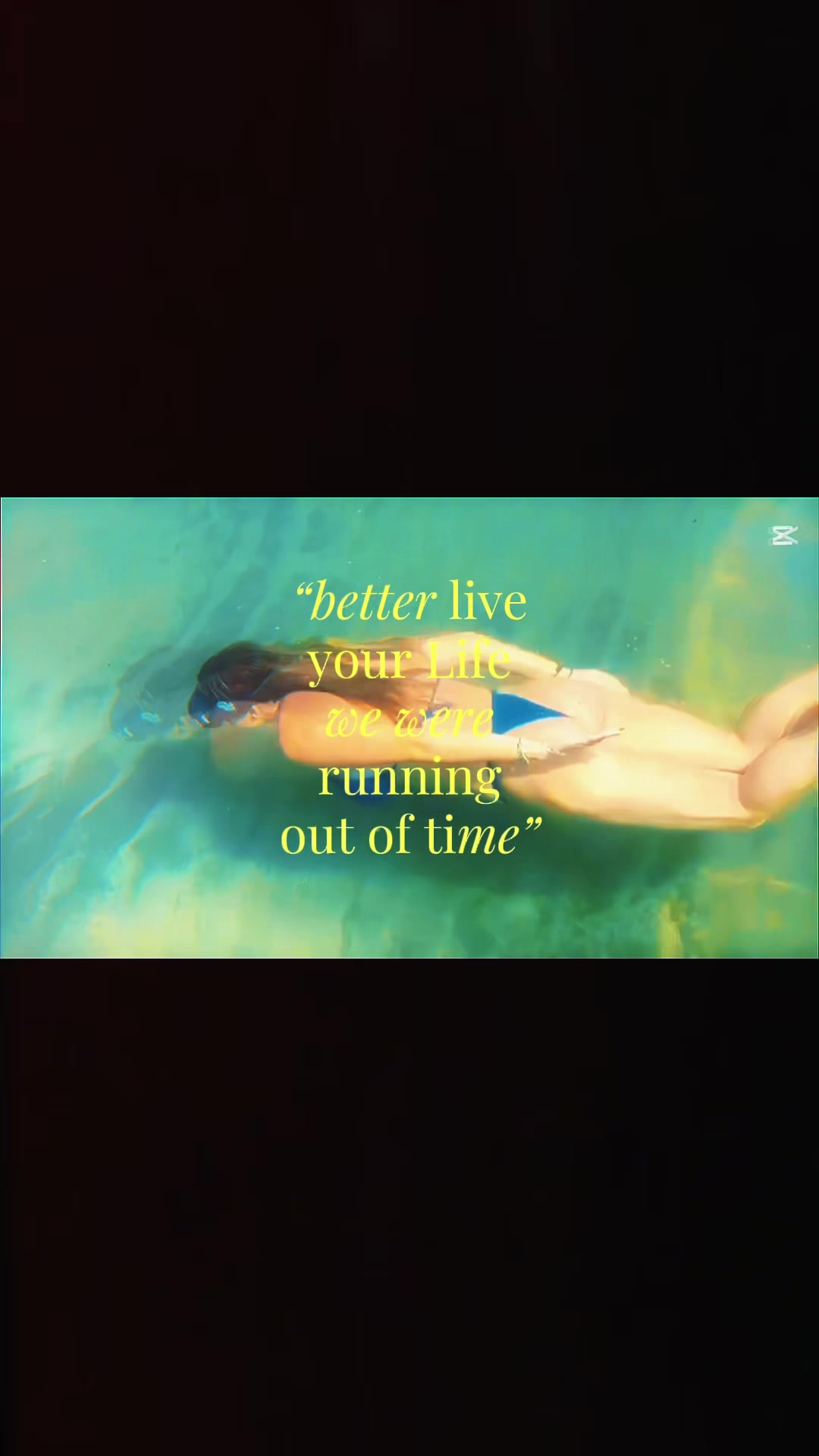 @Kylie🐚🫧🪼