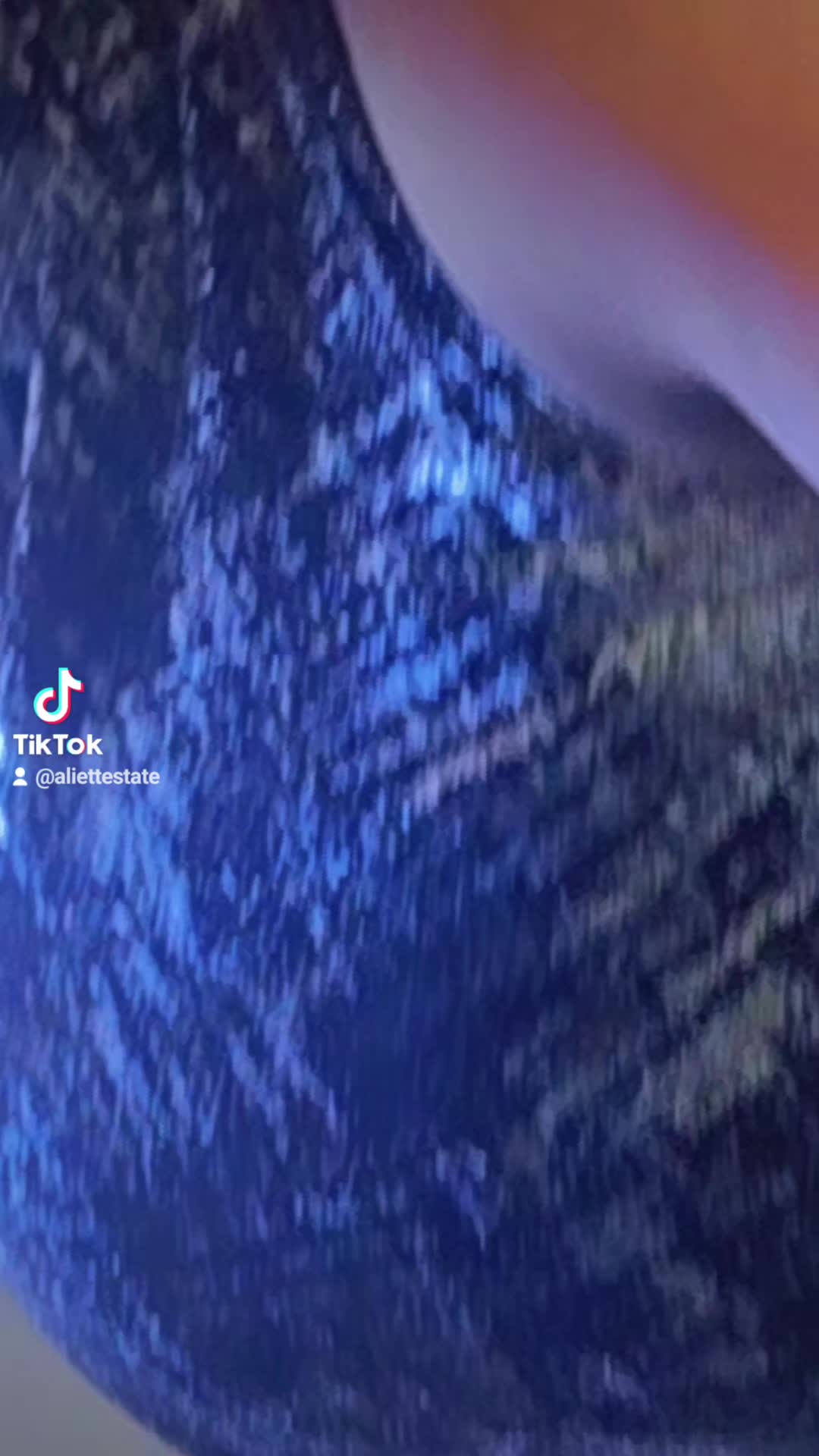 @Mike 1996