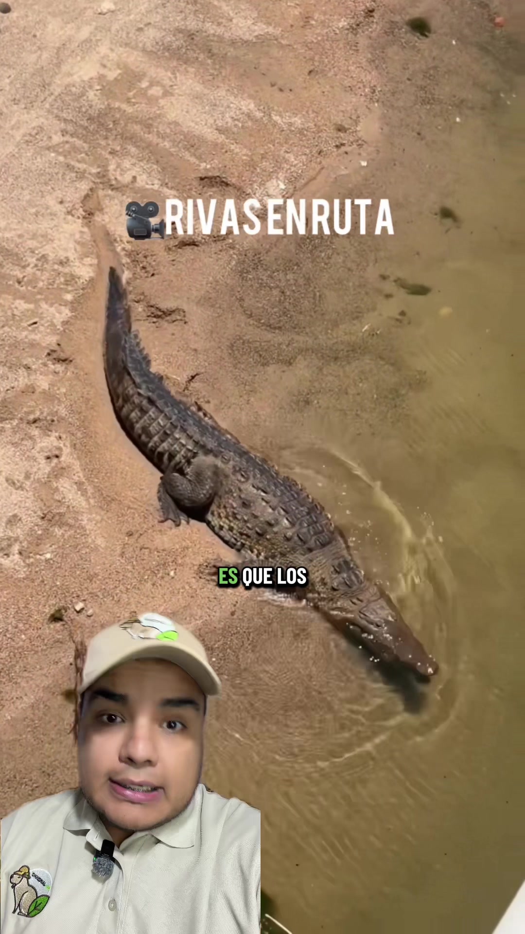 @Jair Herrera 🐆