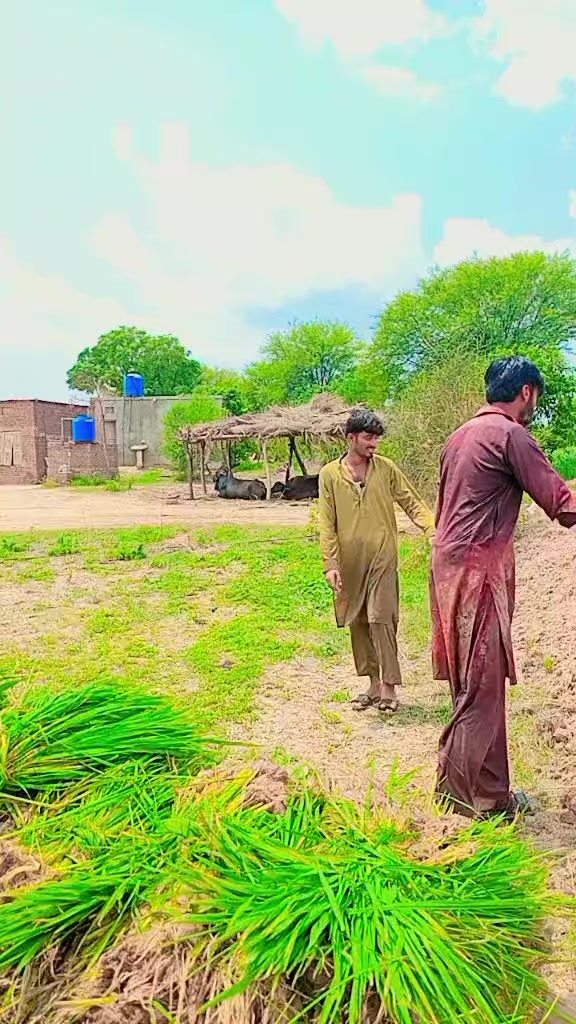 @𖤍 بـلالـــــی گـھنجــیـرا ☠︎