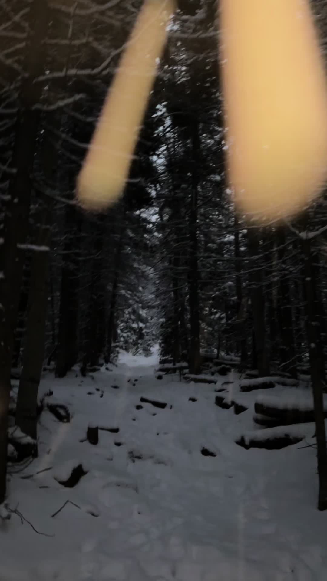@bpdfilms