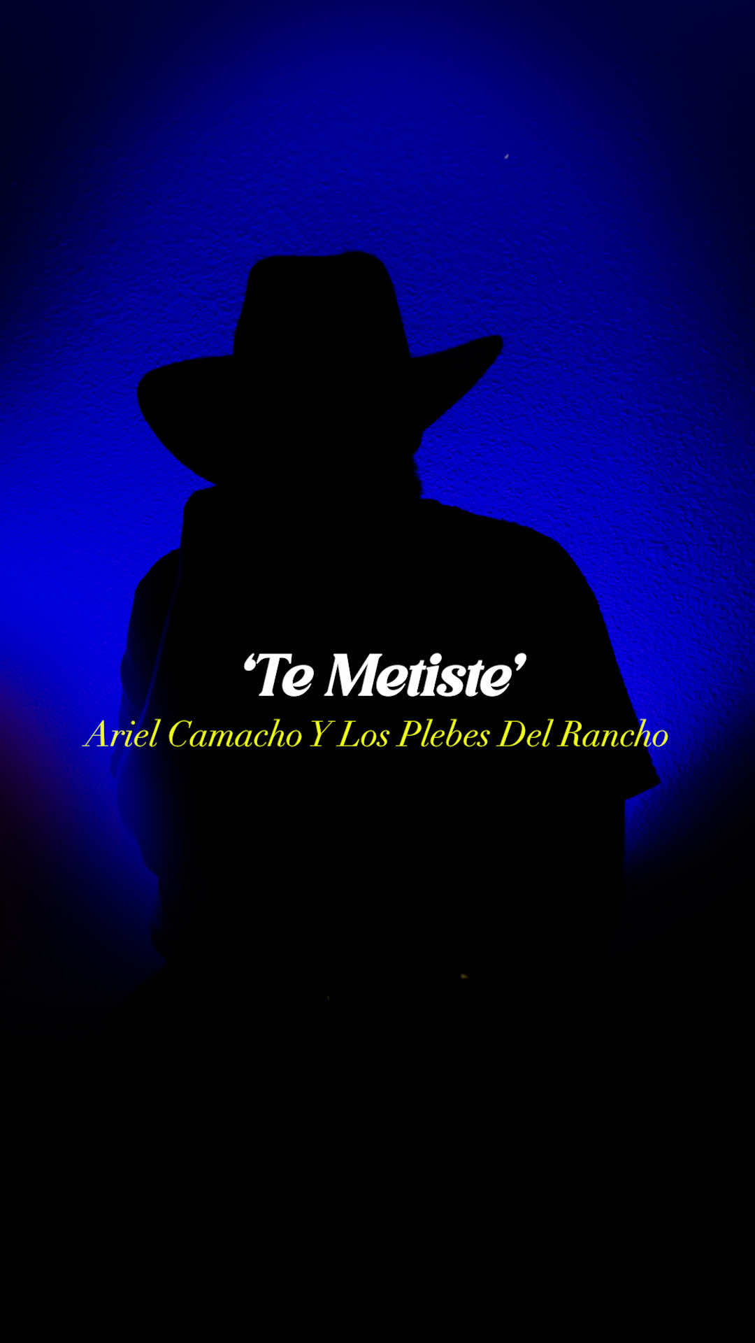@Traxlate