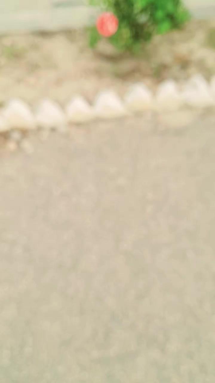 @Shahid karim205