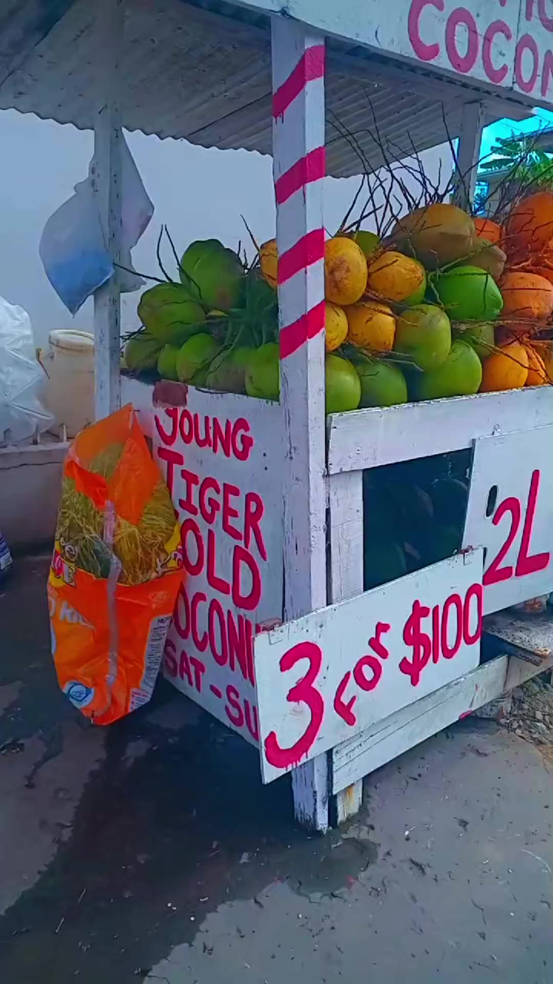 @Young Tiger Cold Coconuts🥥🌴