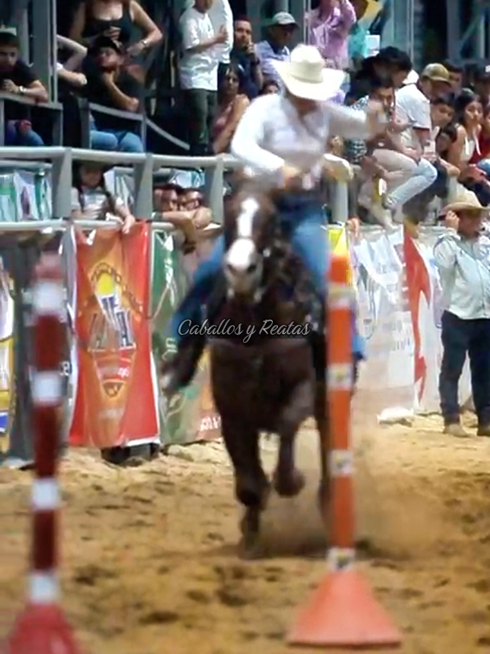 @Caballos y Reatas