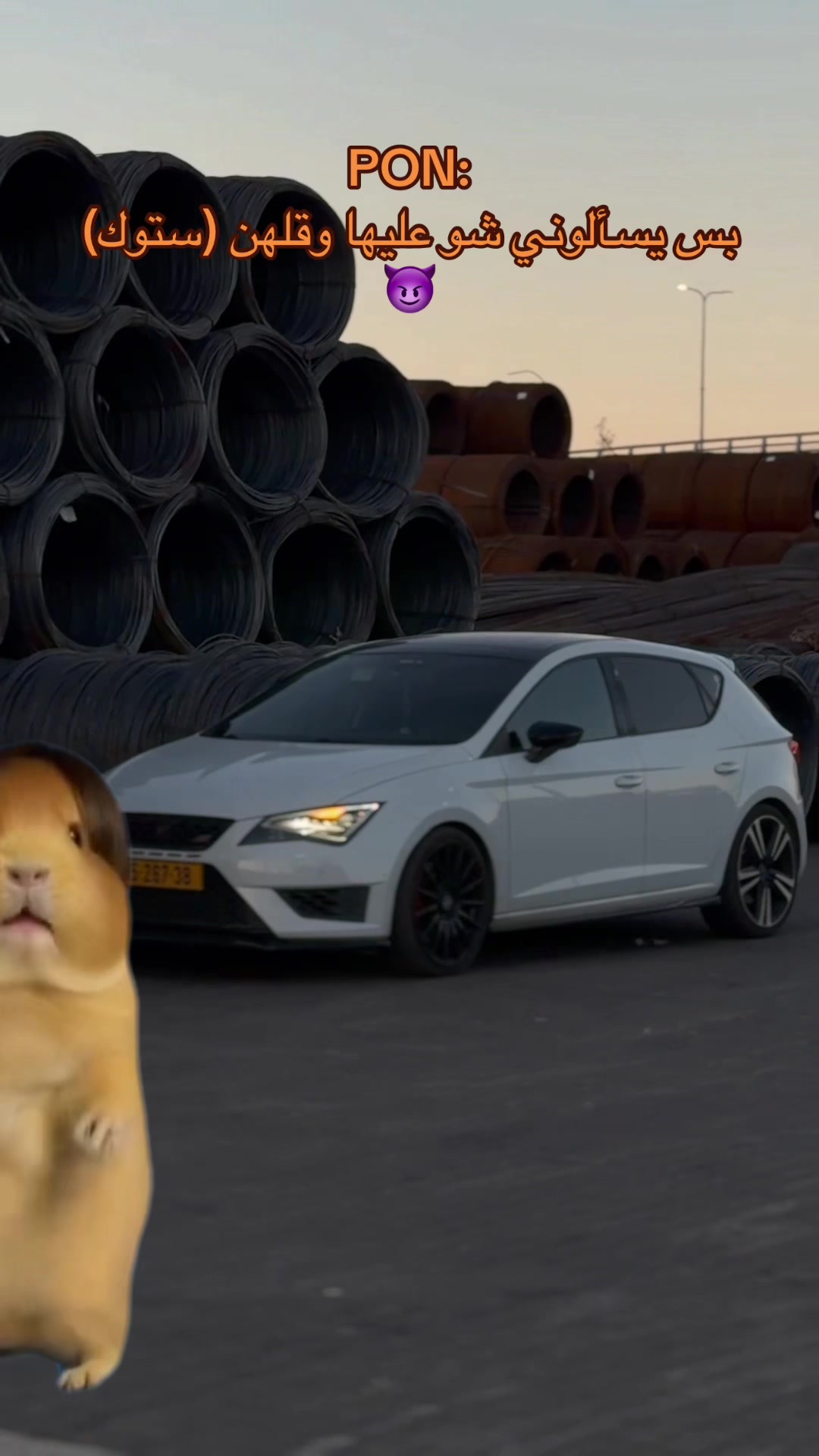 @נאסר נסאר 🦁
