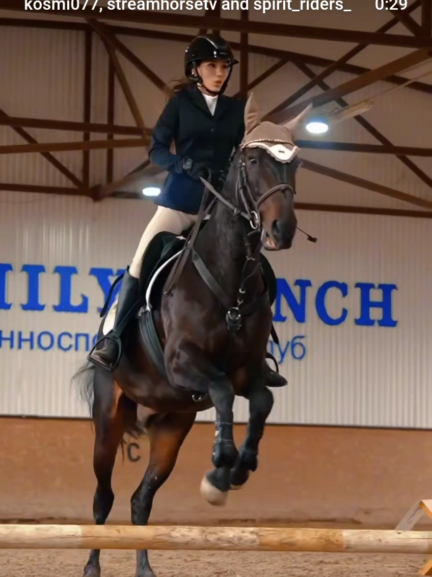 @streamhorse