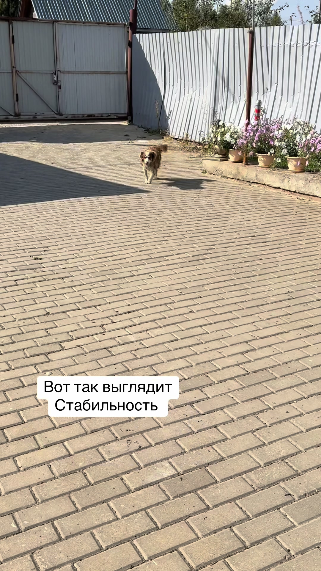 @Анна Алмазова