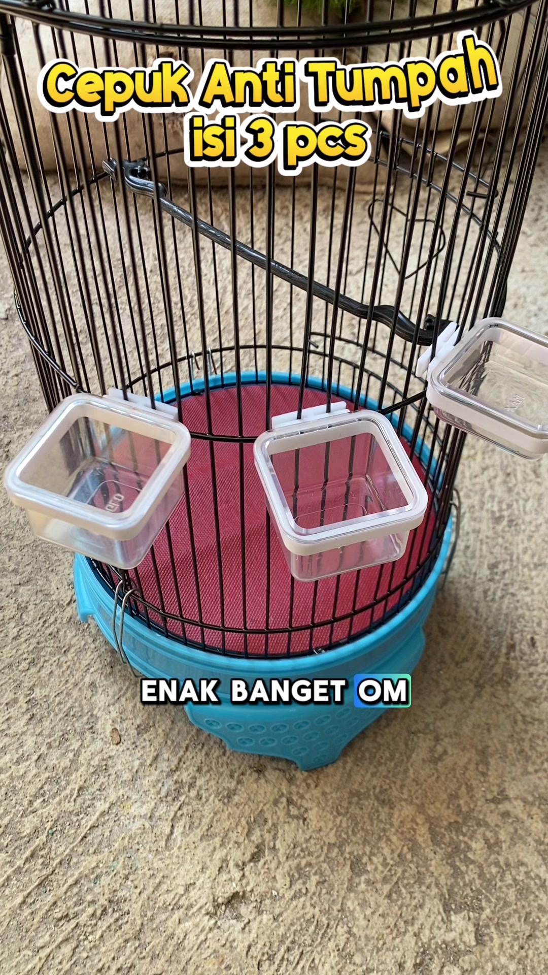@kicau mart