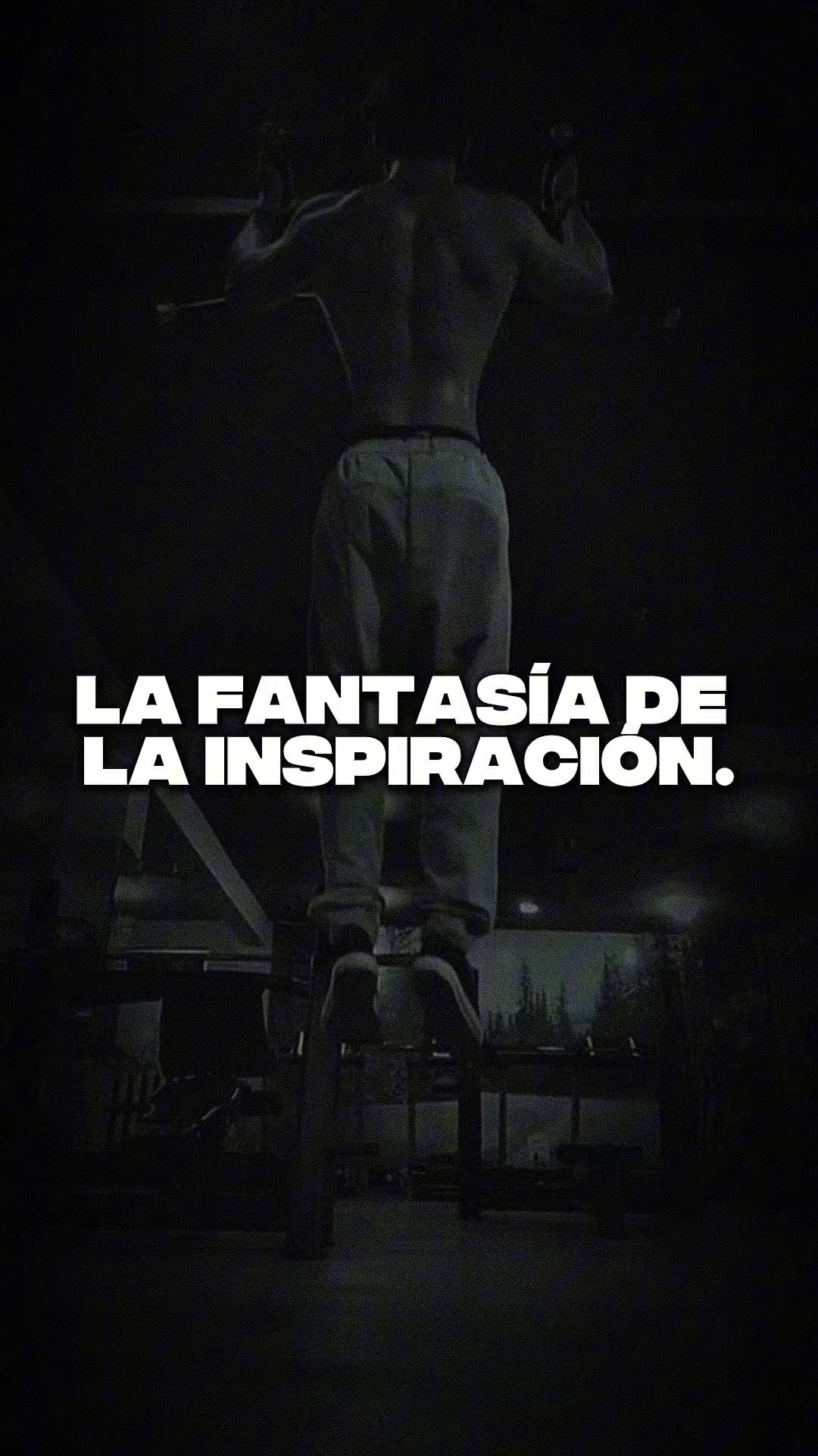@MODO BESTIA | DISCIPLINA