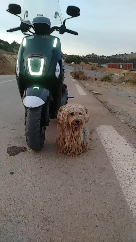 @أبوأسد
