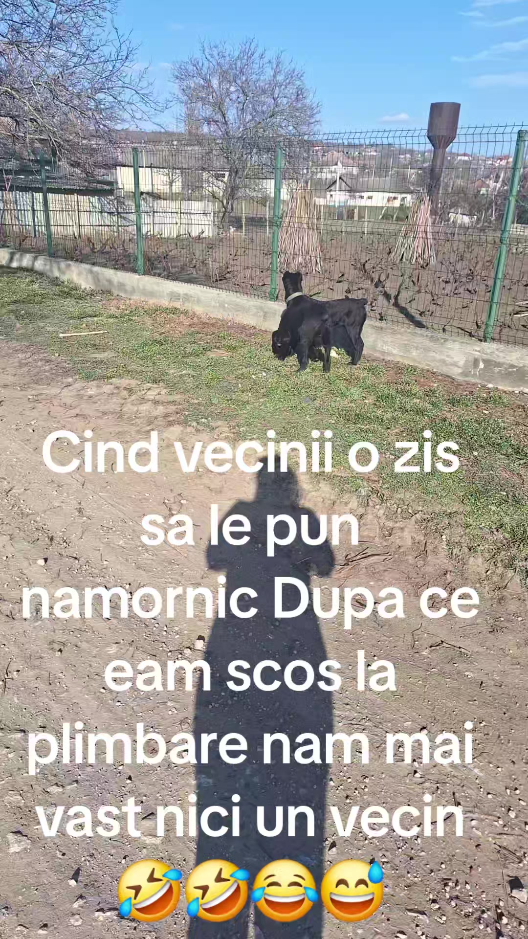 @zolusca