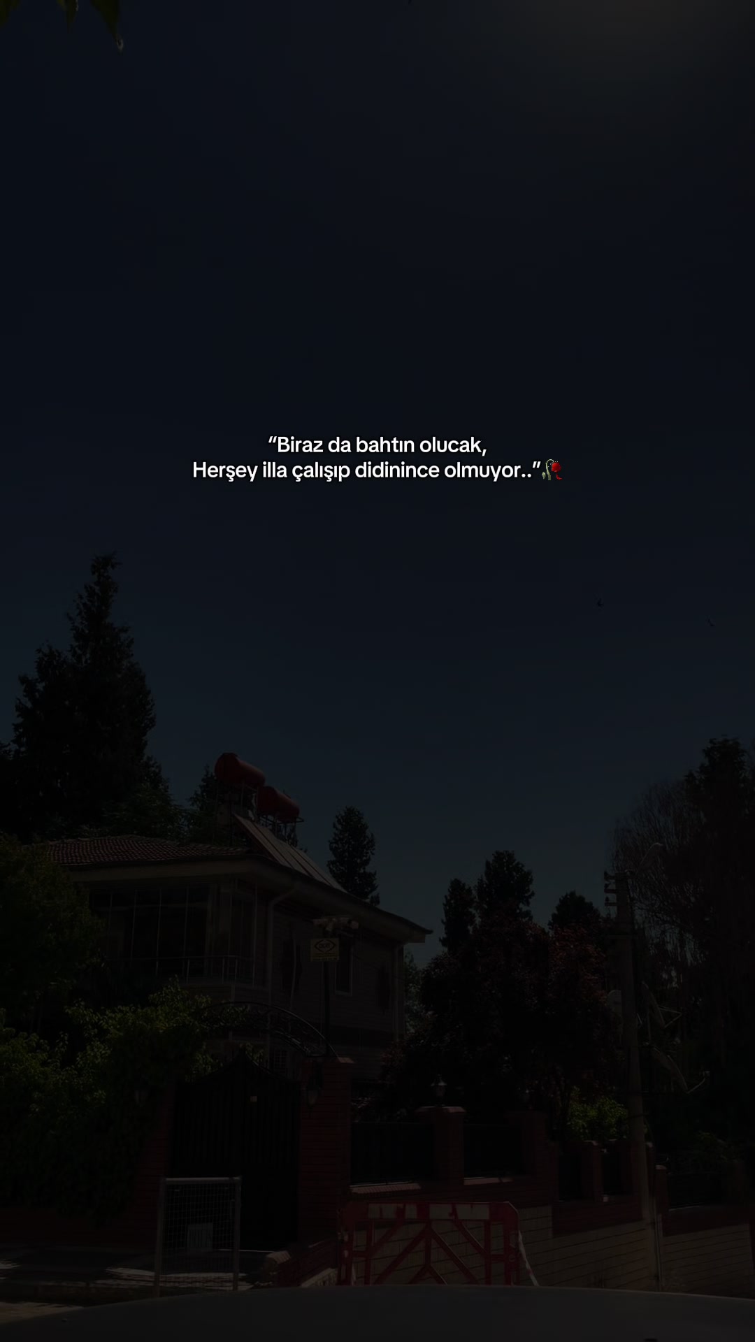 @Meral