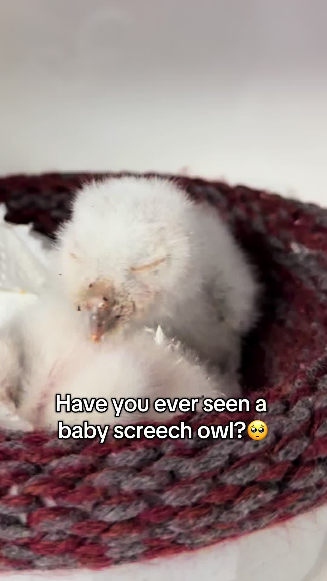 @CROW Clinic