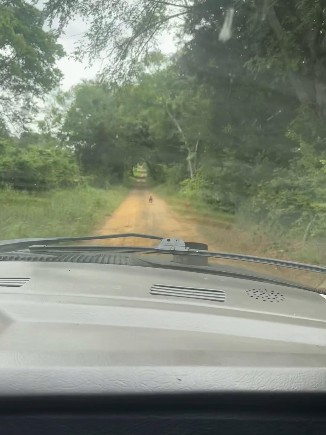 @Southerncountrybabe