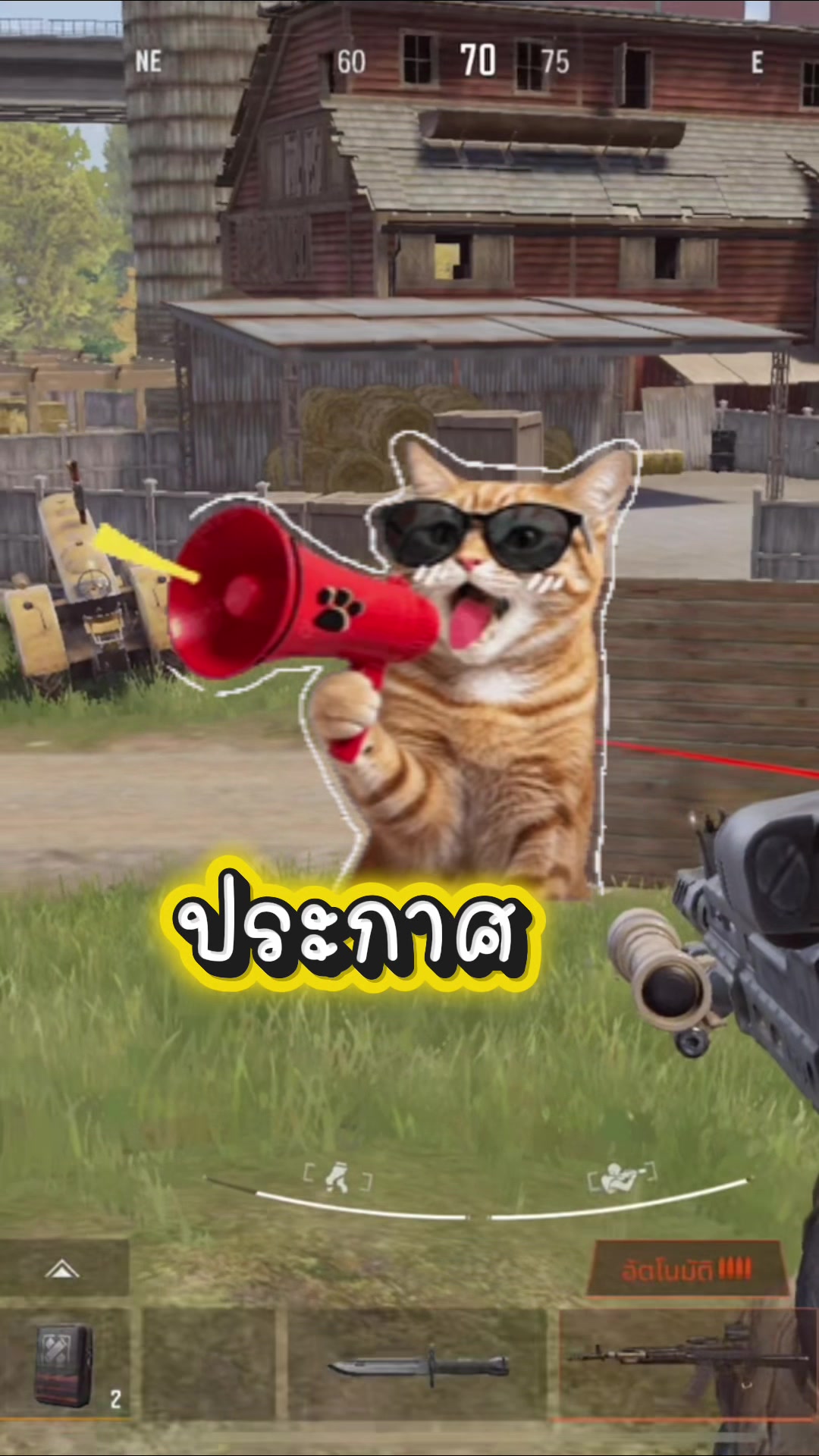 @ซ้อแนท