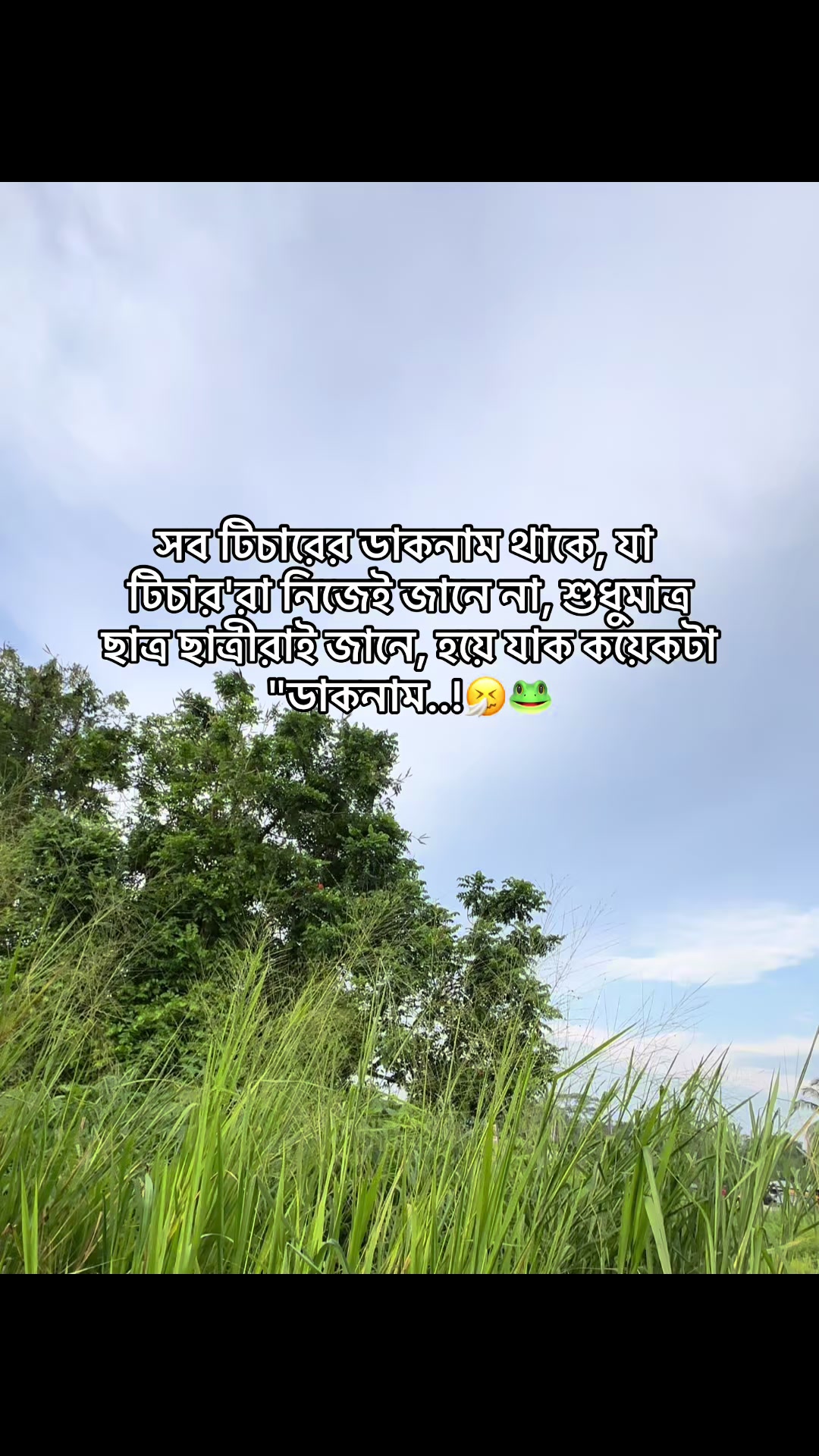 @đ° đĻ đ đ đ đ đ°'âĄ