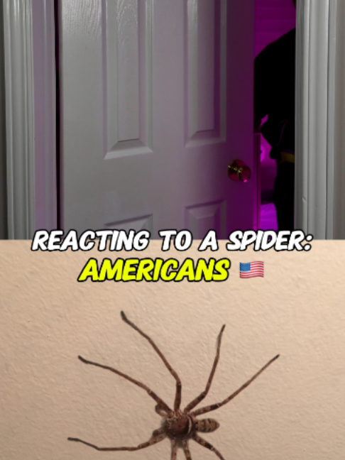 @Kebbeth