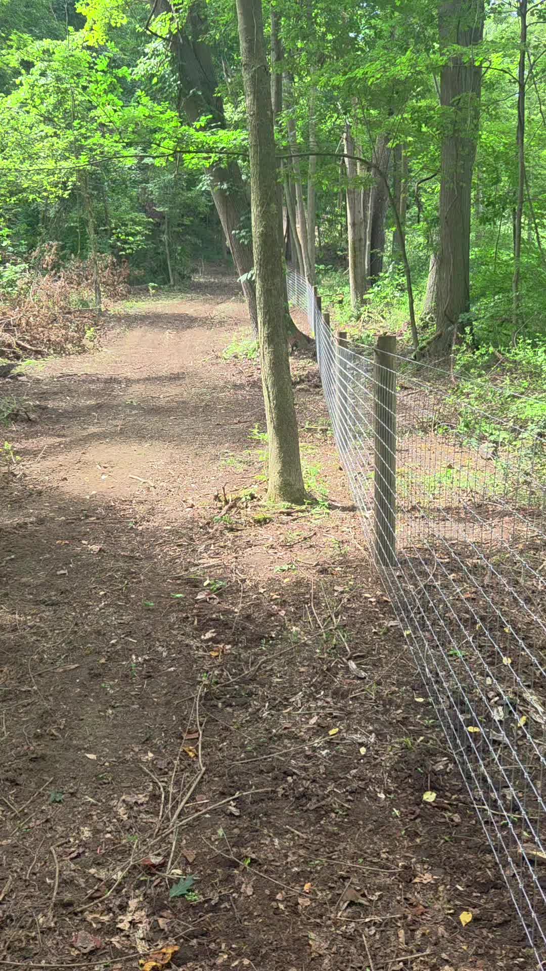 @Hickory Nut Fencing