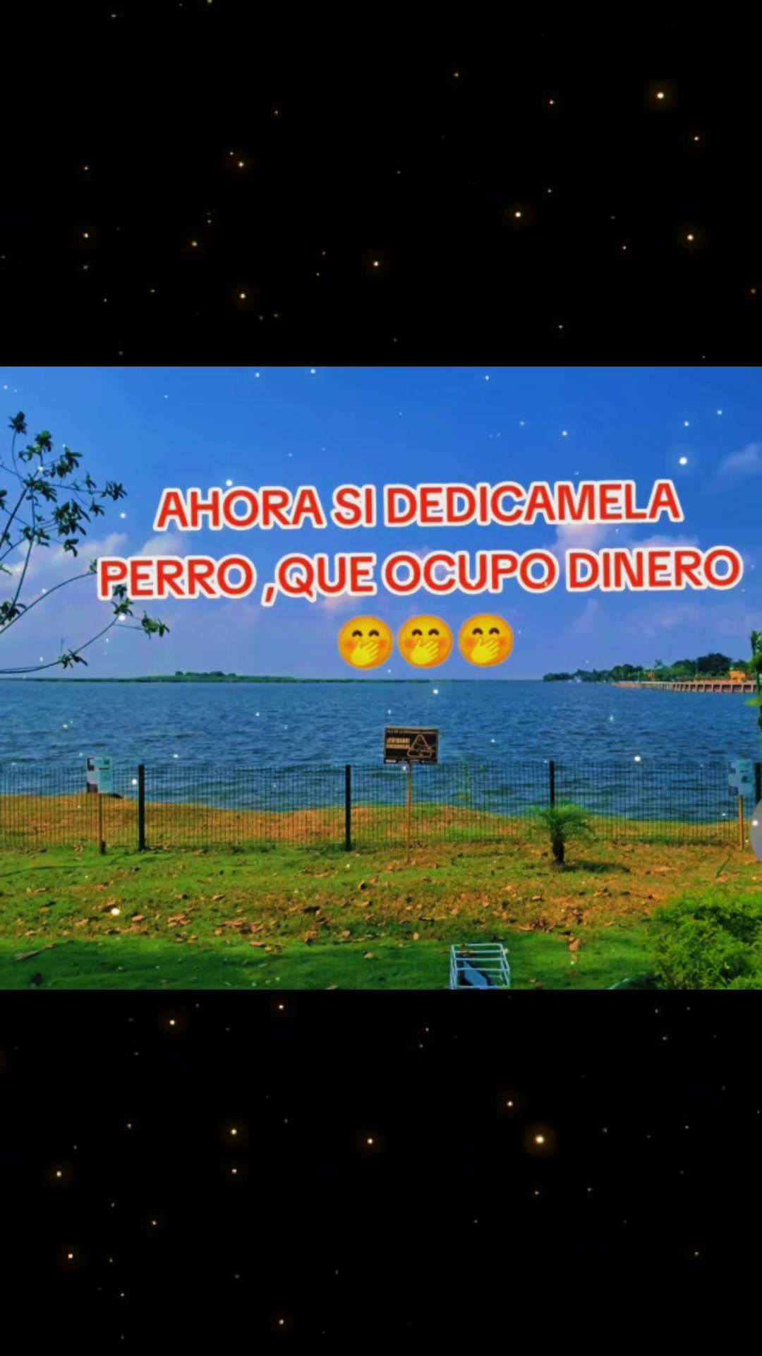 @Andrea Carranza