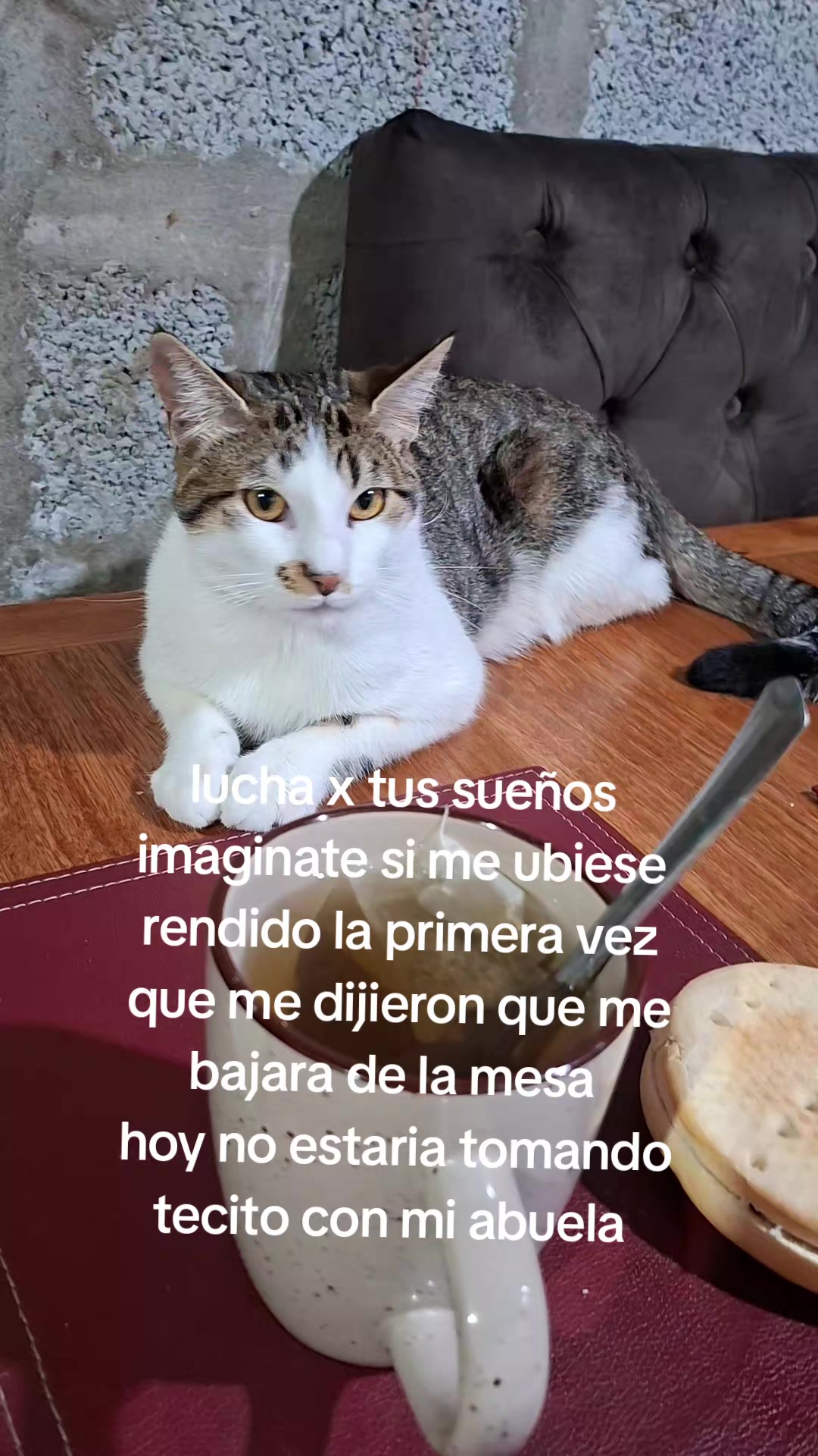 @carolinarojasdvaldes