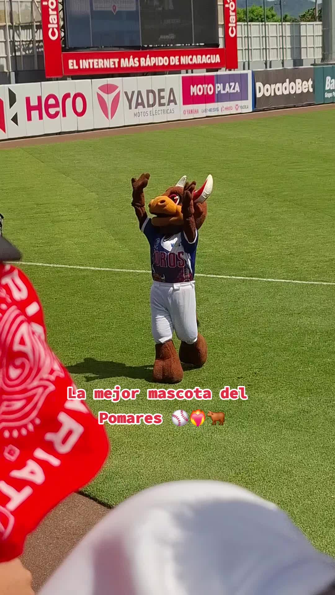 @𝒜𝓁𝒾𝓈𝓈𝑜𝓃⚾️❤️🩹🔬