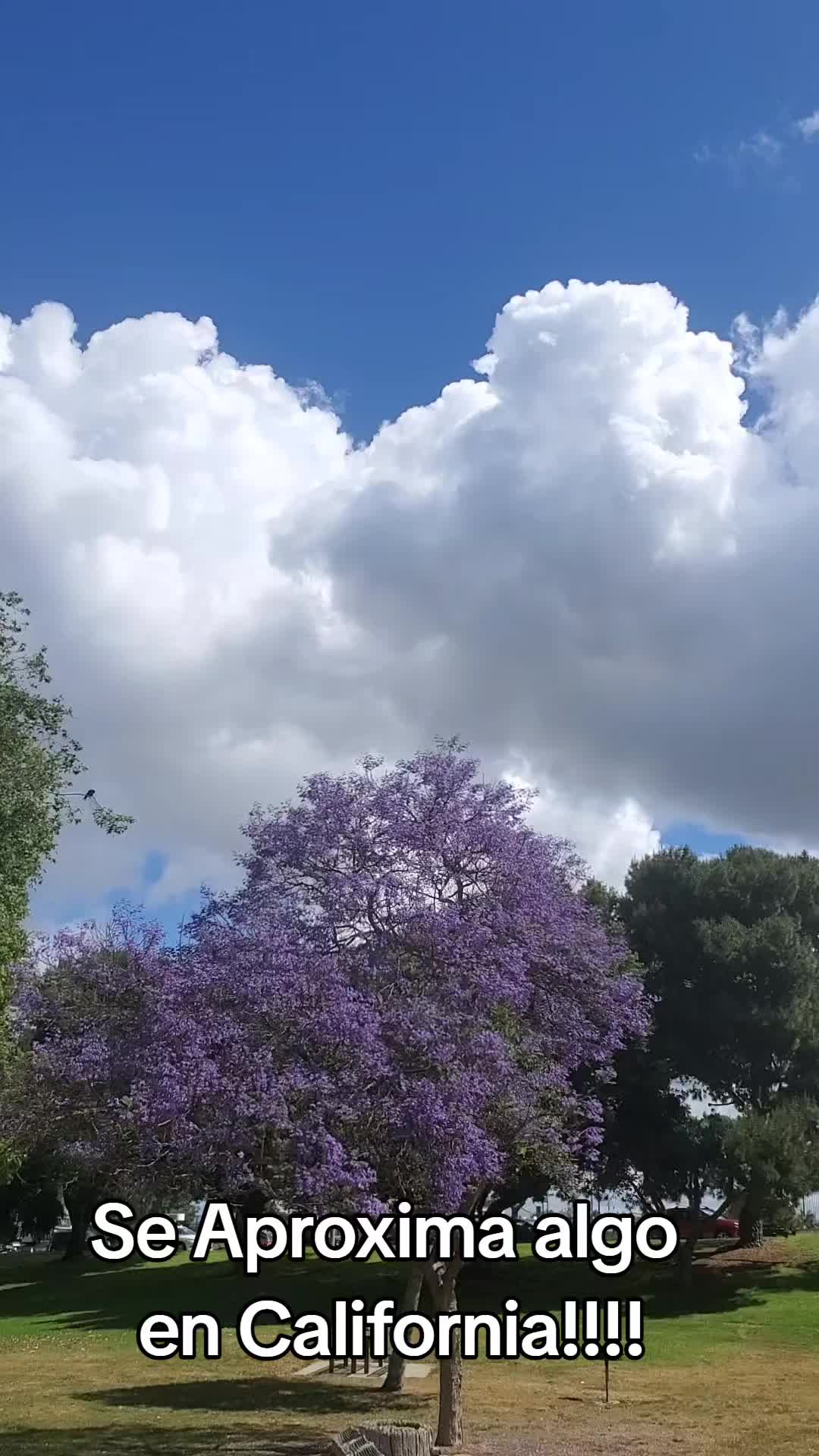 @Jugogarc&iacute;a♤