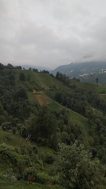 @Erdemce_Otizm