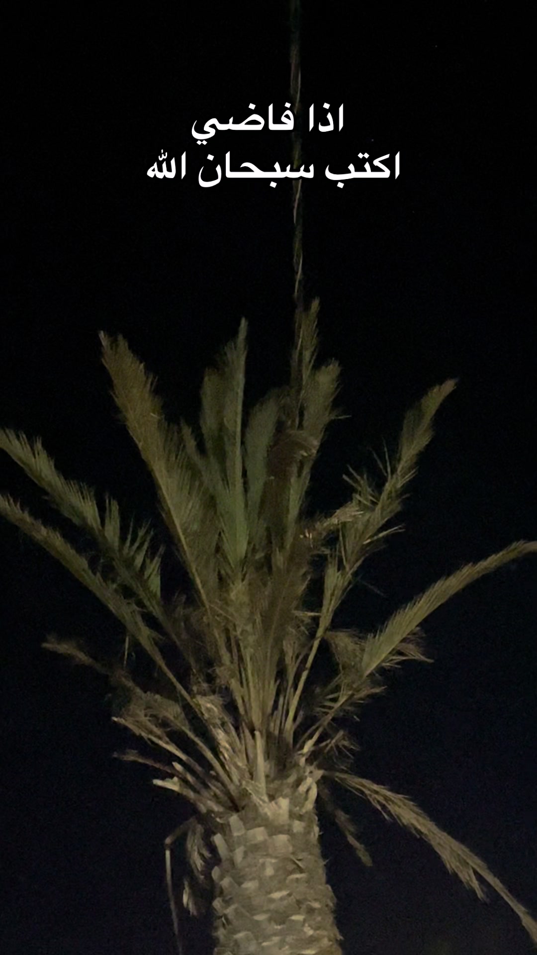 @هيـــّــآف 𓃚