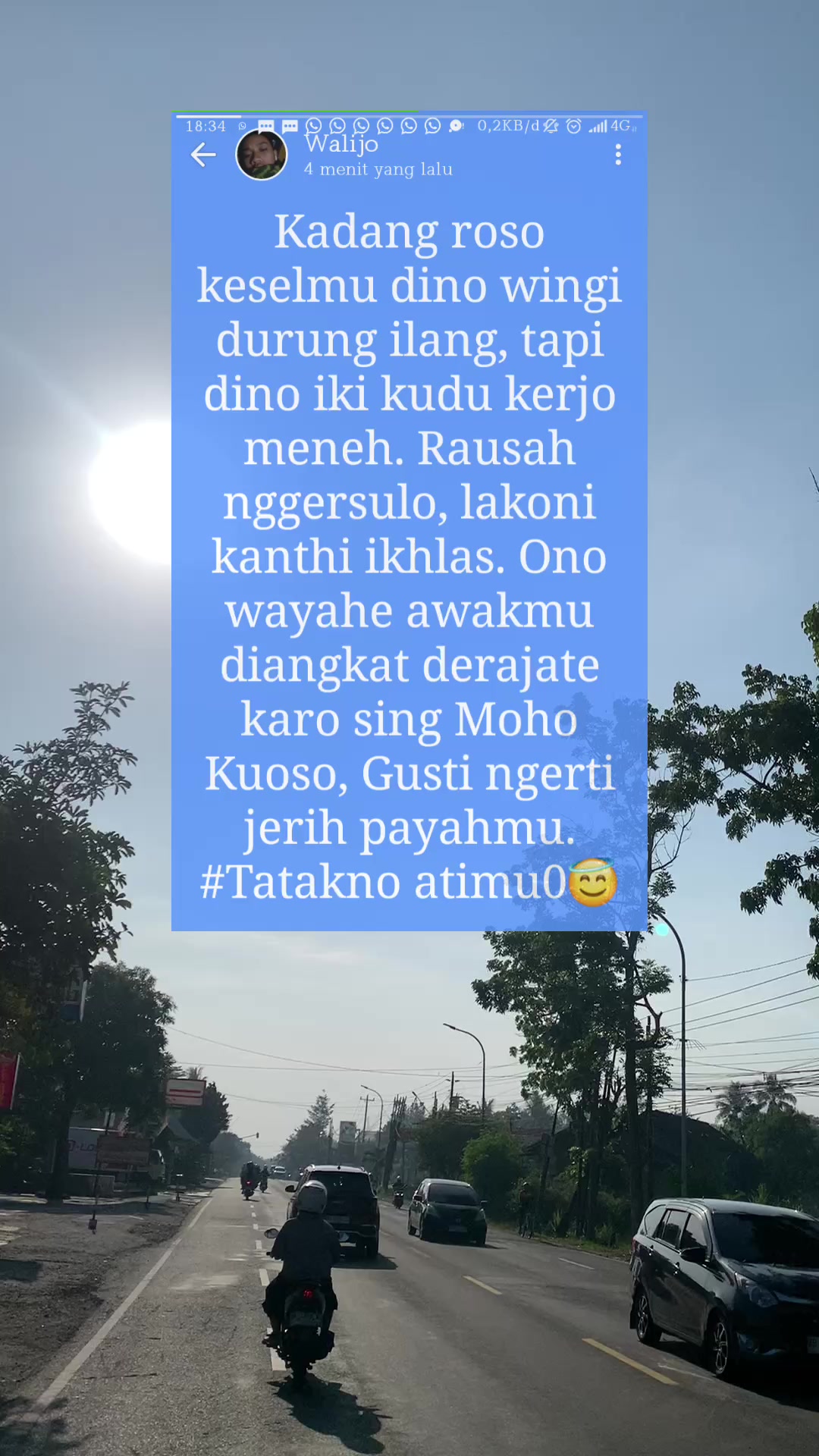 @ᴡɪʀʀʀ.