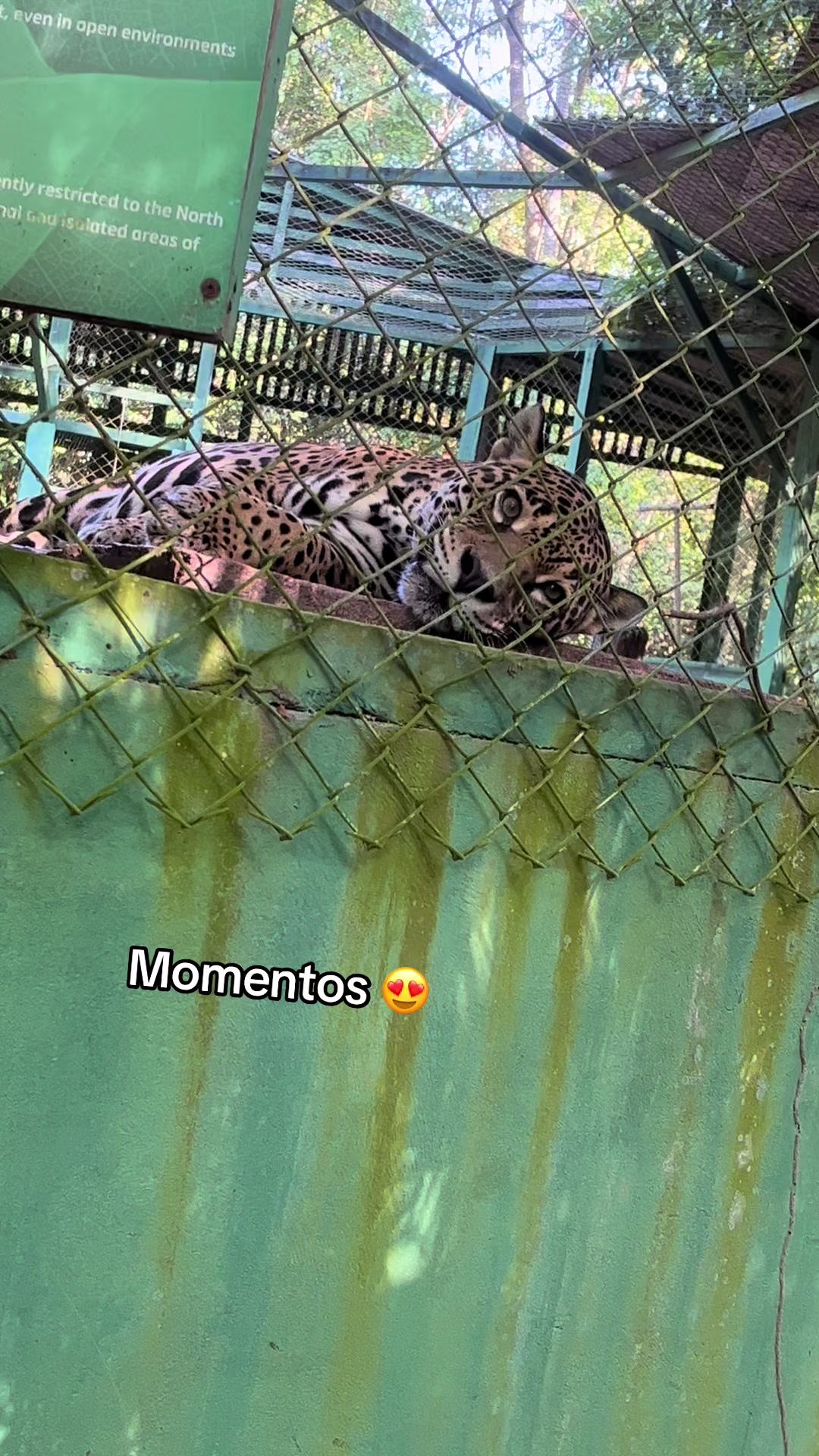 @Sophia terra oficial