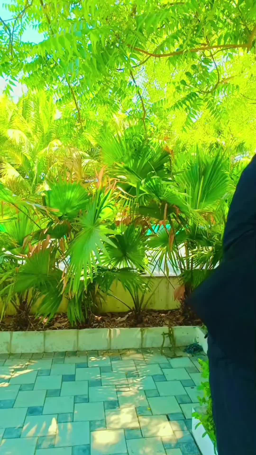 @🩷लोकेन्द्र सिह ❤️