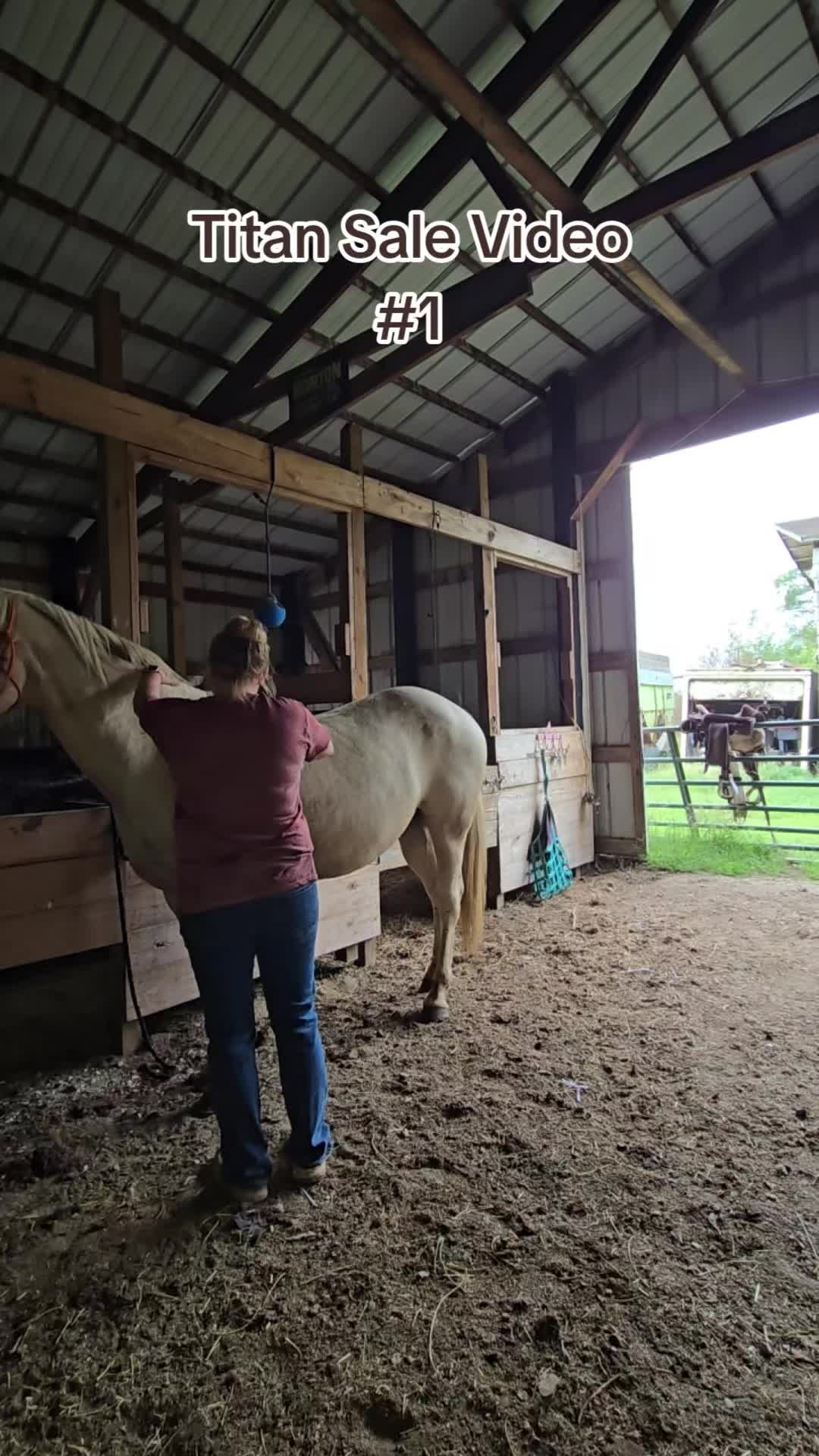 @Small Town Farm LLC