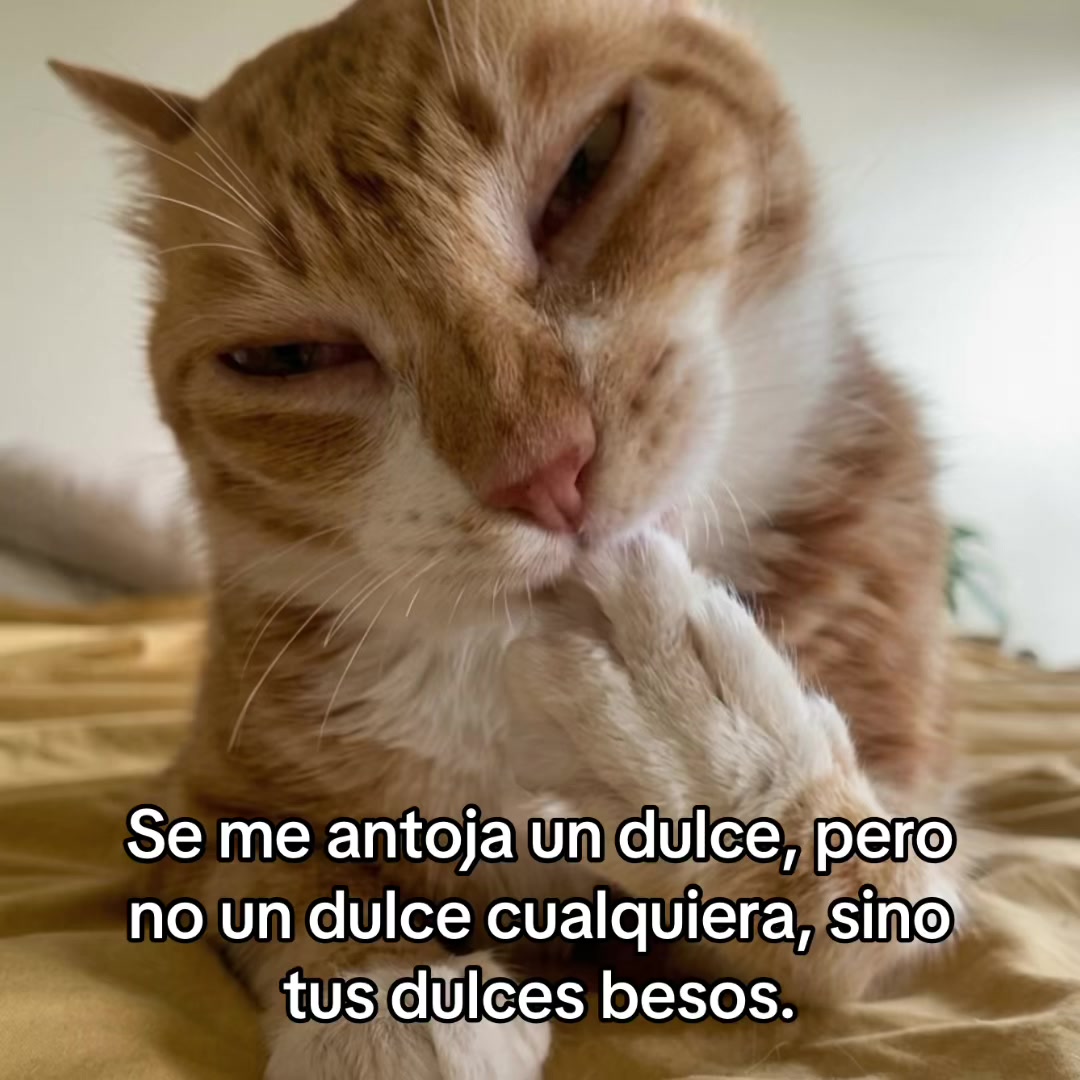 @saulburgosp2.0