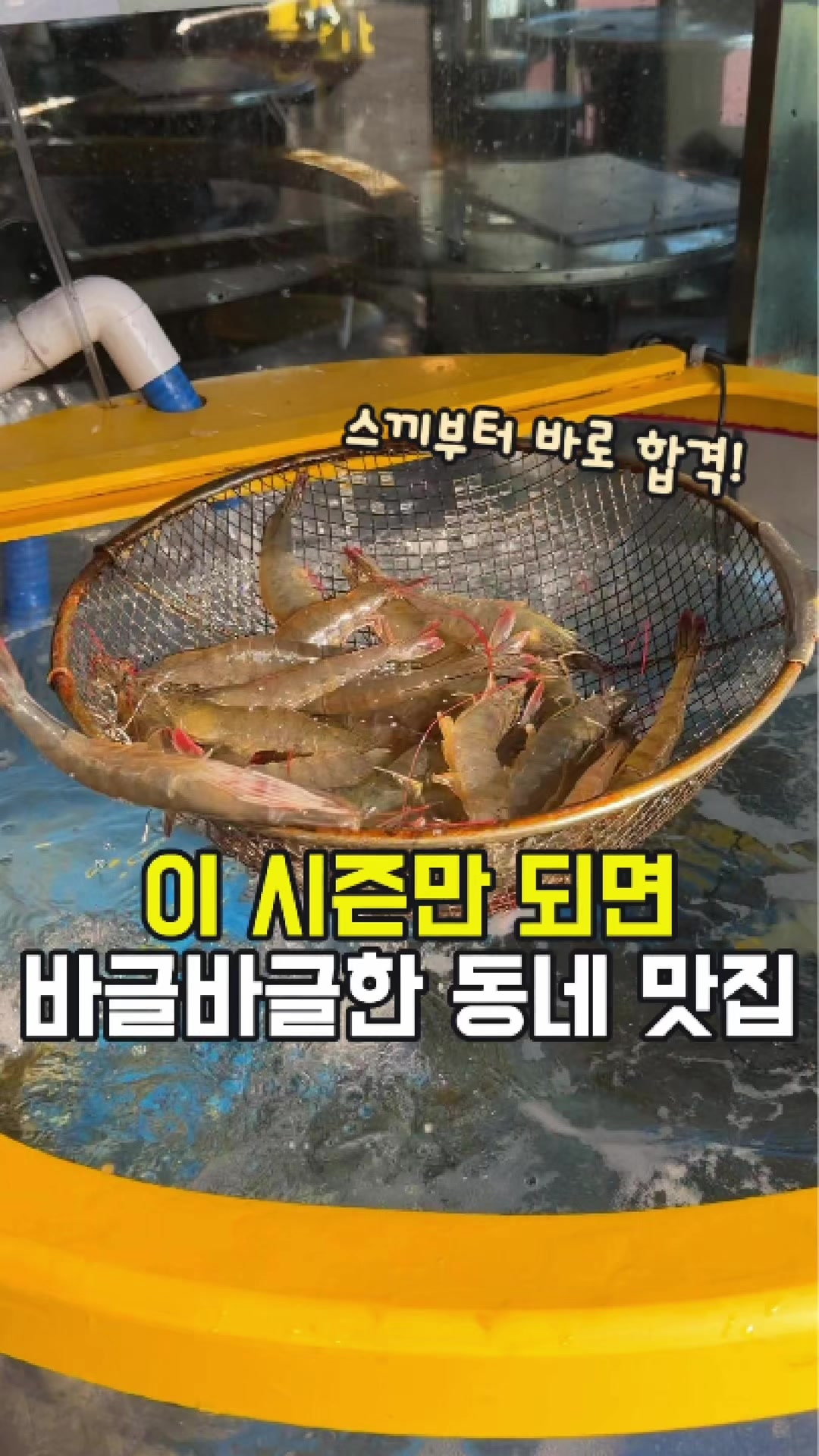 @대전토박이