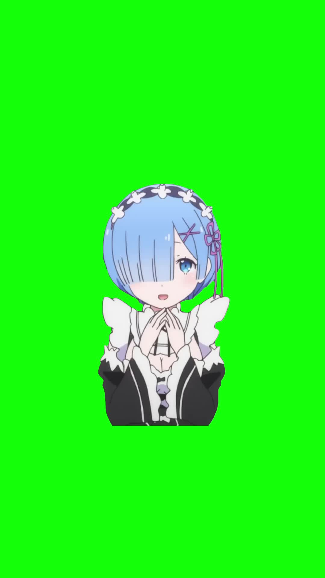 @Chief Green Screens