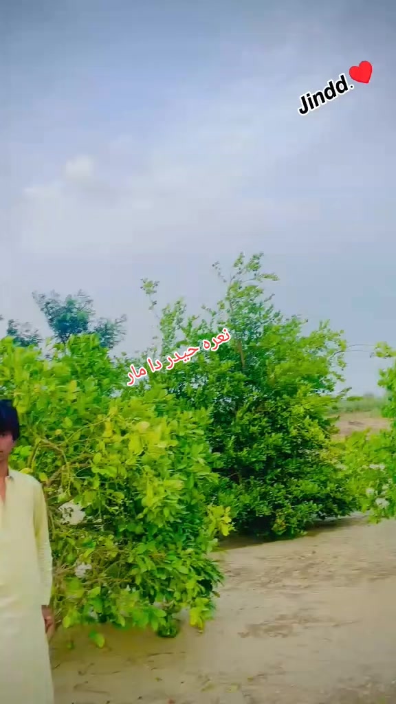 @M𝑒𝗁𝘢𝗥𝐛𝚊𝐍 𝙎h𝒶𝐇𝚒❤️🩹