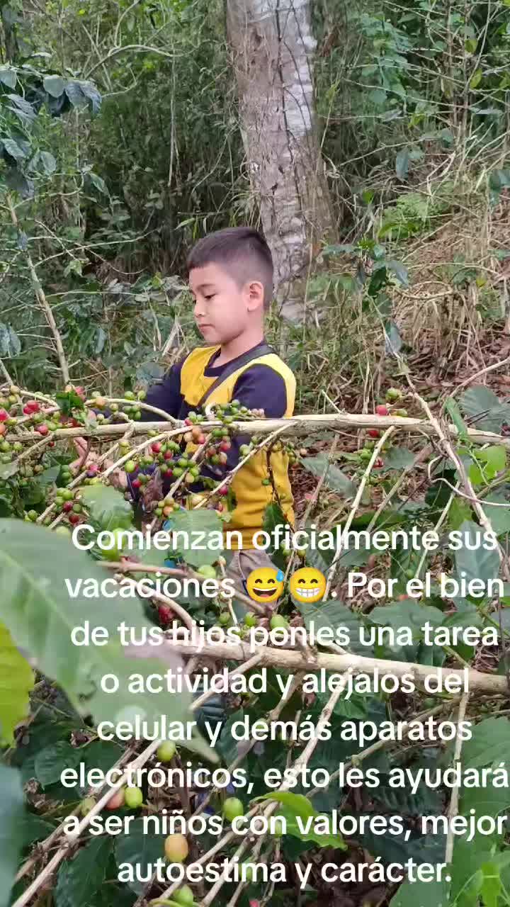 @Memo Villanueva
