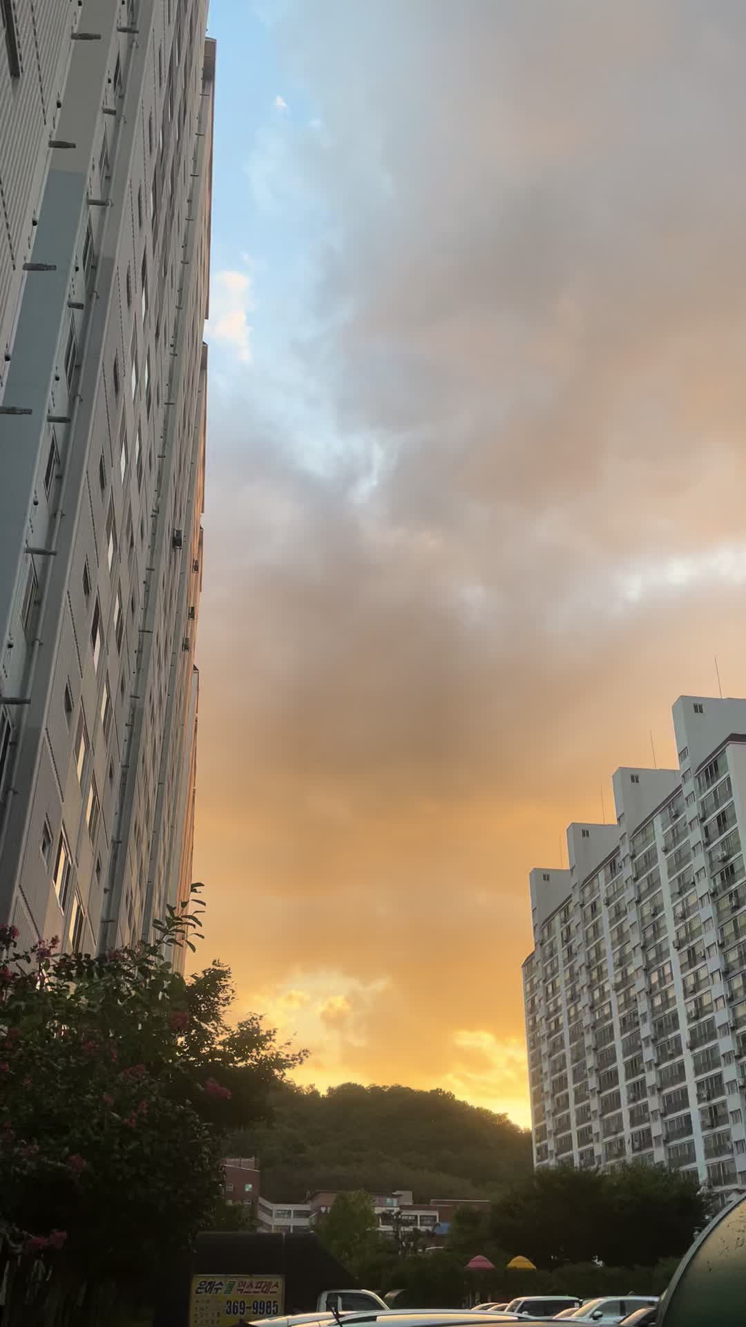 @도연