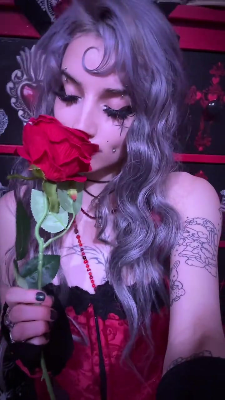 @˚₊‧꒰ა 𝕭𝖆𝖇𝖞𝕯𝖔𝖑𝖑 ໒꒱ ‧₊˚