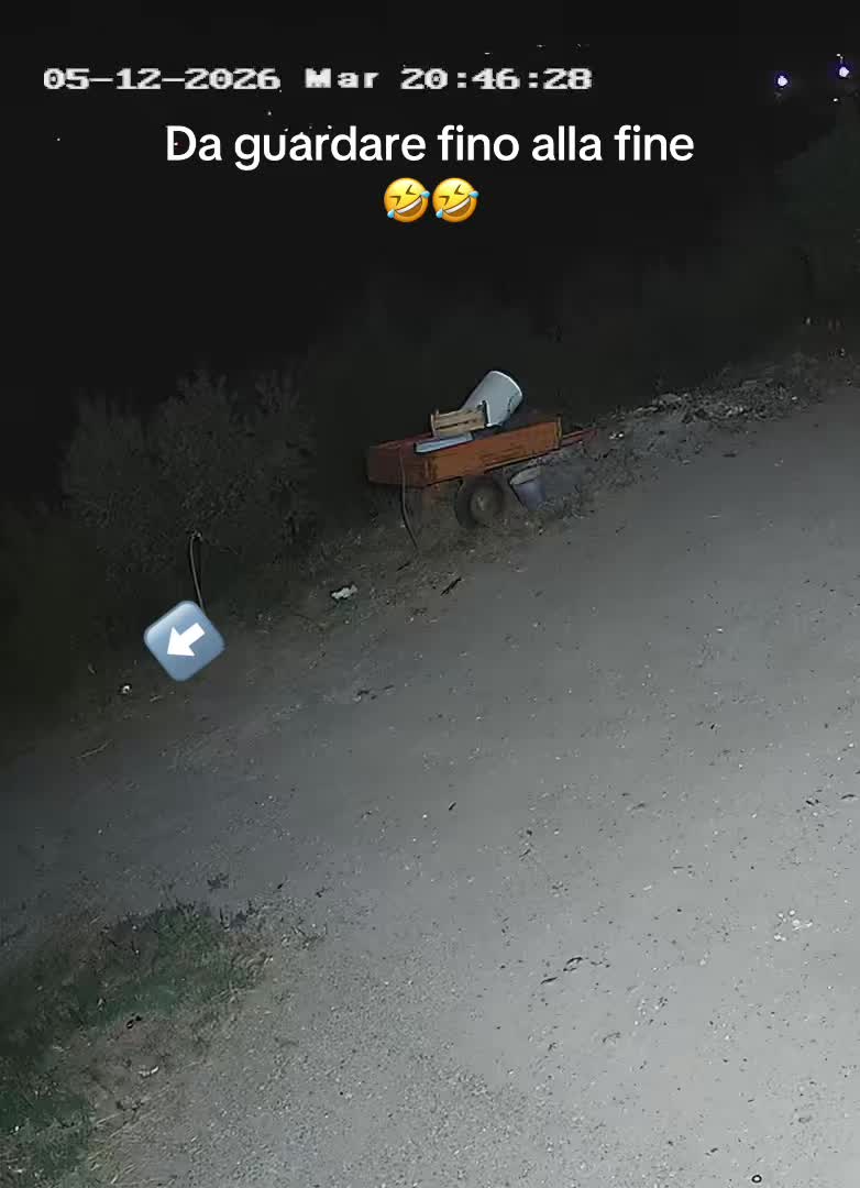 @Mattiuzzu