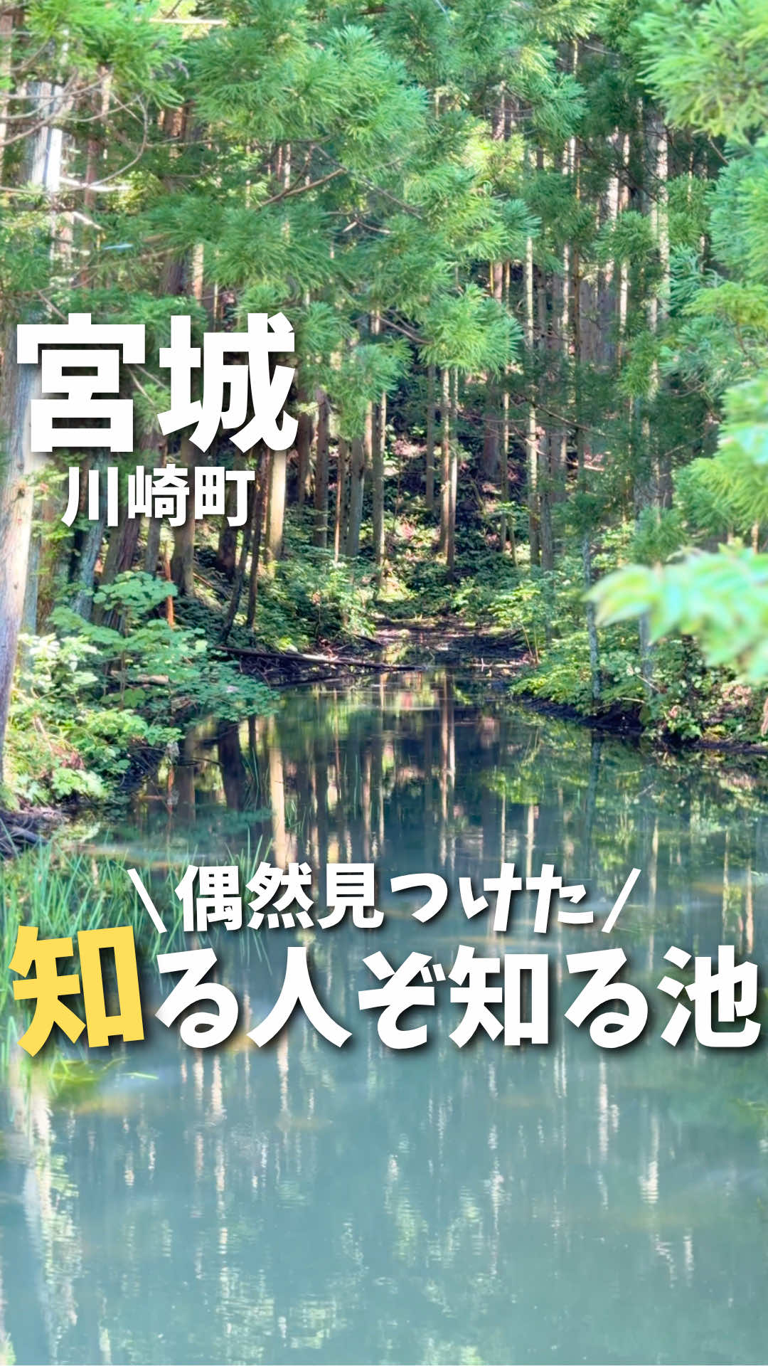 @あおい【仙台・宮城・東北旅行🌈】
