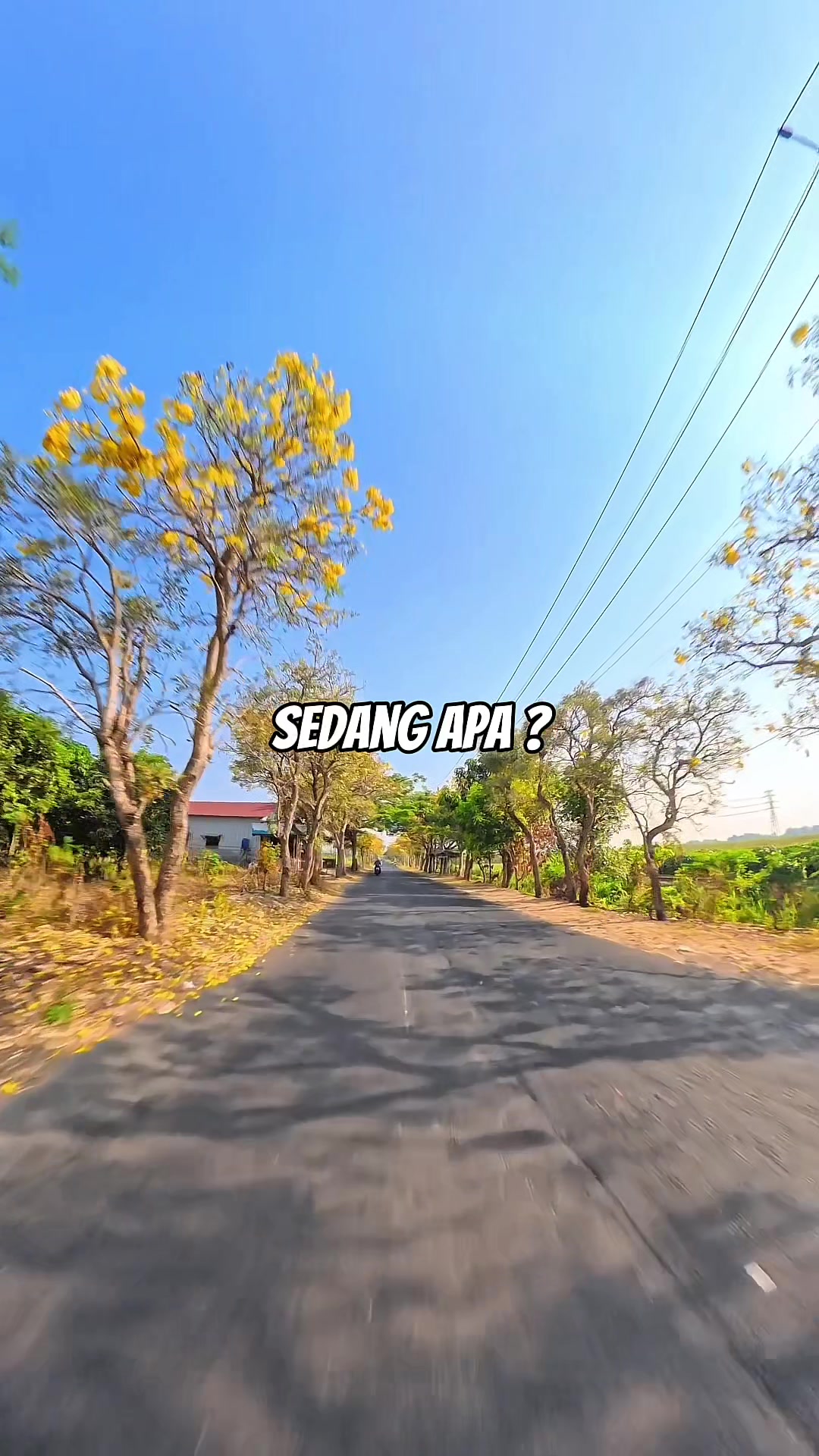 @wargajombang